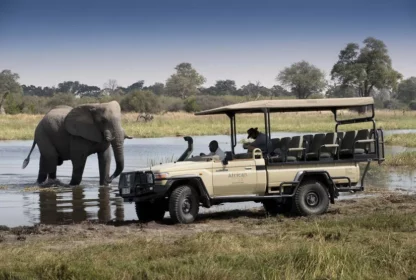 Essential Packing Guide for an Unforgettable Safari Adventure