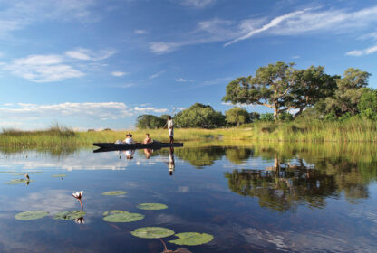 Timing is Everything: Choosing the Best Time for Your Safari Adventure