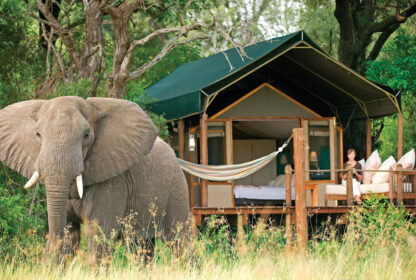 Choosing the Right Safari Accommodation: A Guide to Lodges, Camps, and Beyond